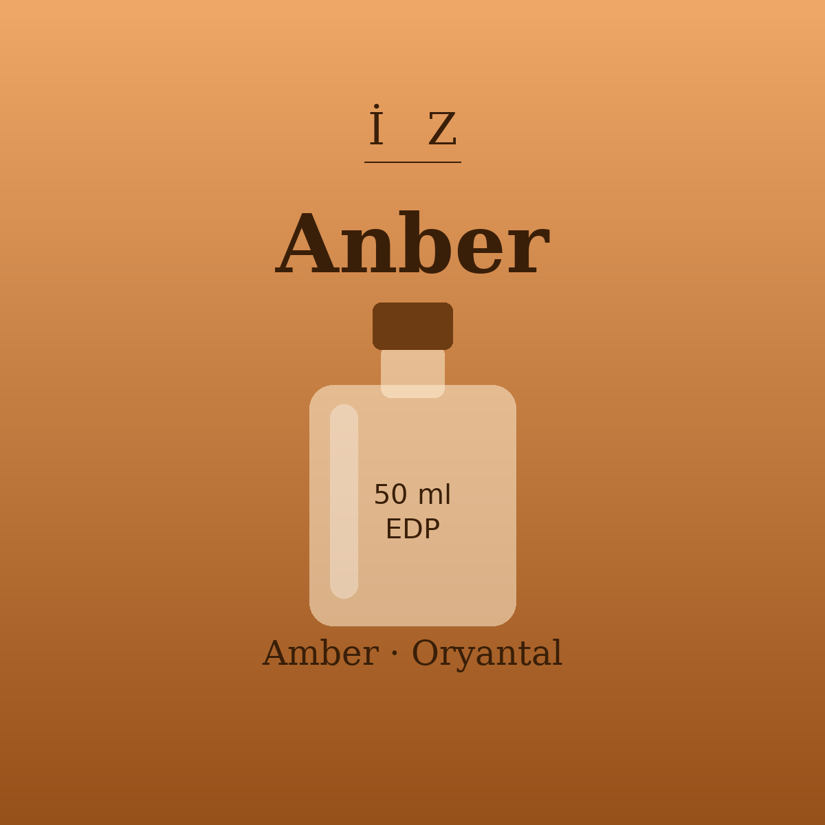 İZ Anber