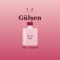 İZ Gülşen